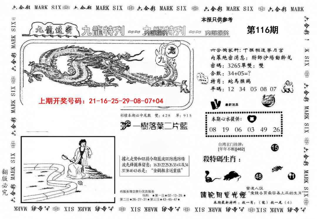 澳彩图库 2026 九龙特新刊