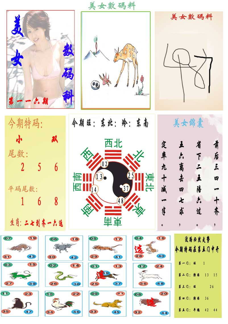 澳彩图库 2026 美女数码料